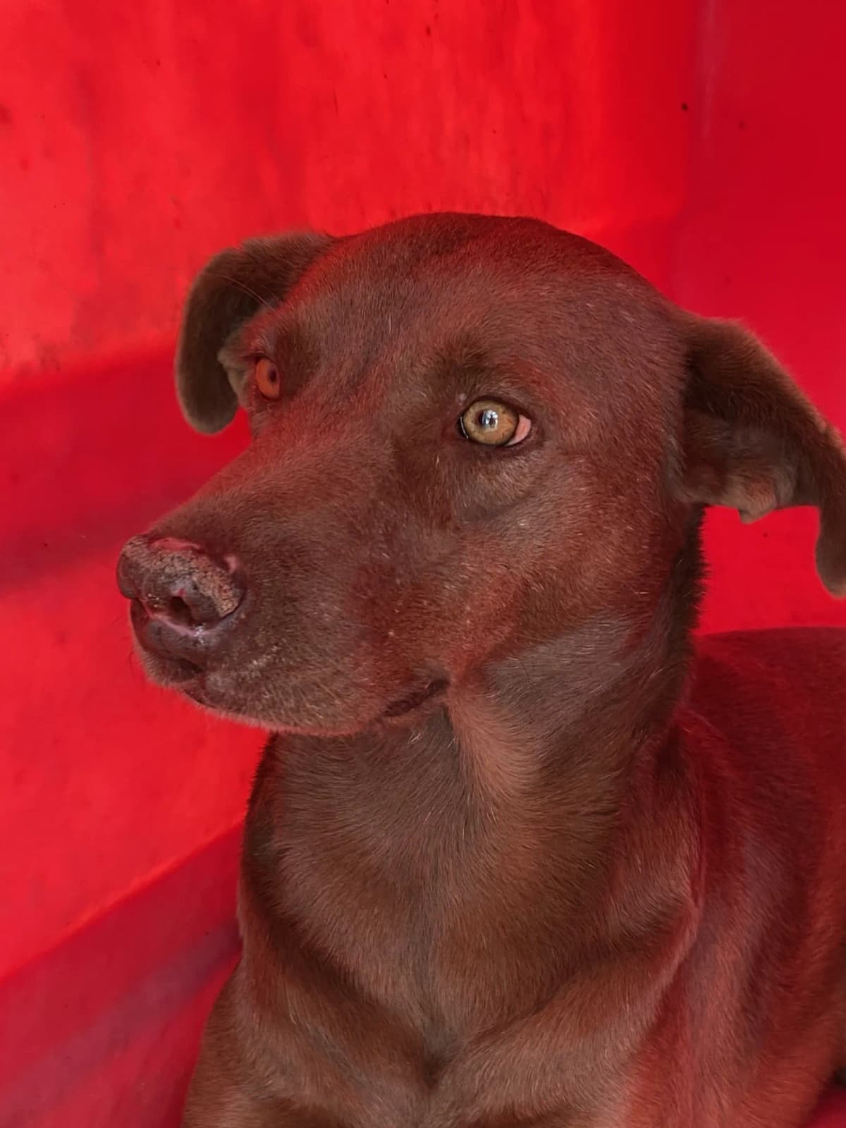 Imagen principal del producto